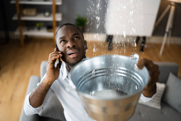 Best Water damage restoration services  in Oakridge, OR