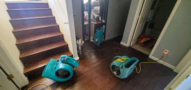 Best Carpet water damage restoration  in Oakridge, OR