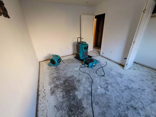 Best Local water damage restoration  in Oakridge, OR