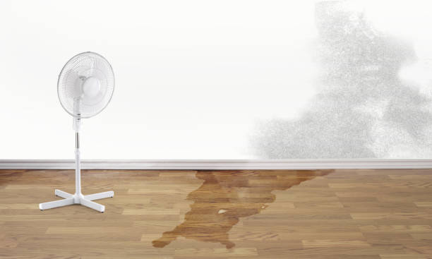 Best Water damage contractors near me  in Oakridge, OR