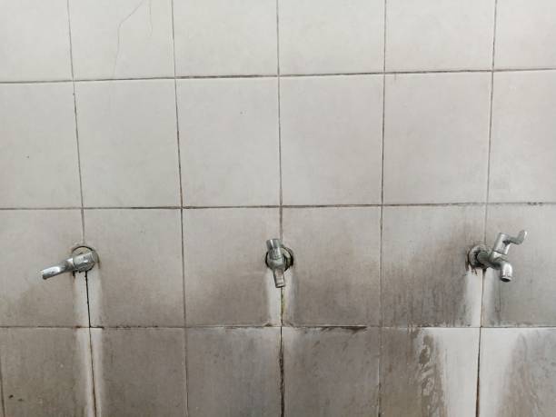 Best Basement water damage restoration  in Oakridge, OR