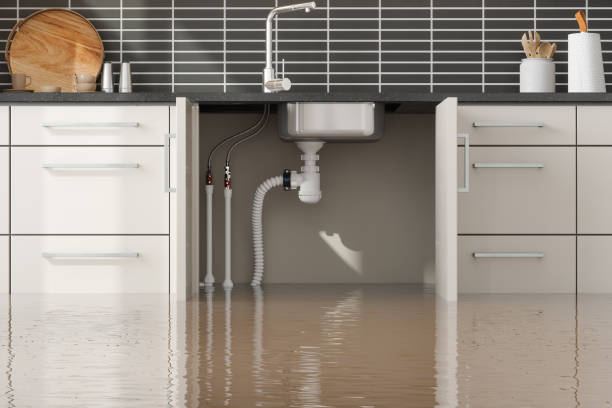 Best 24/7 water damage repair  in Oakridge, OR